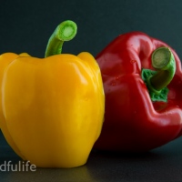 A Picture A Day : Yellow And Red Peppers