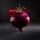 Red Onion On Dark Background