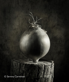 Onion on wood (black and white)