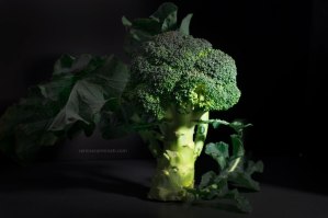 broccoli-on-dark-background