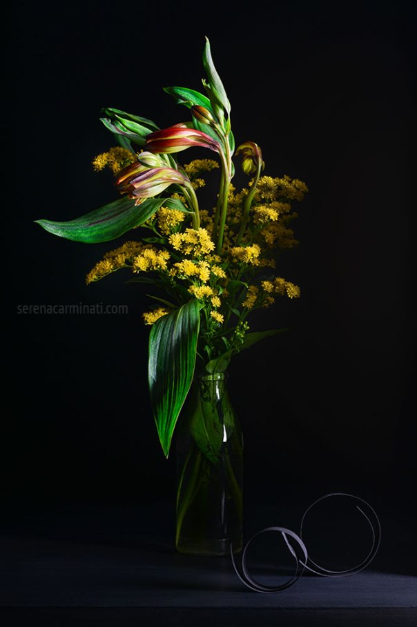 red and yellow alstroemeria with solidago flower , on black background.